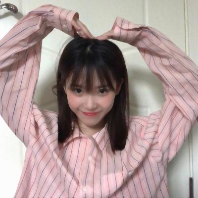 猫之城手游下载